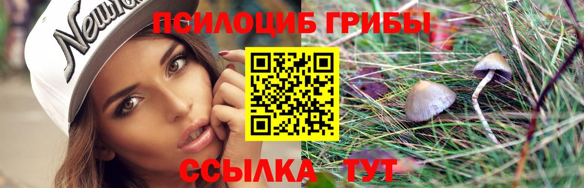 Галлюциногенные грибы Cubensis Аша