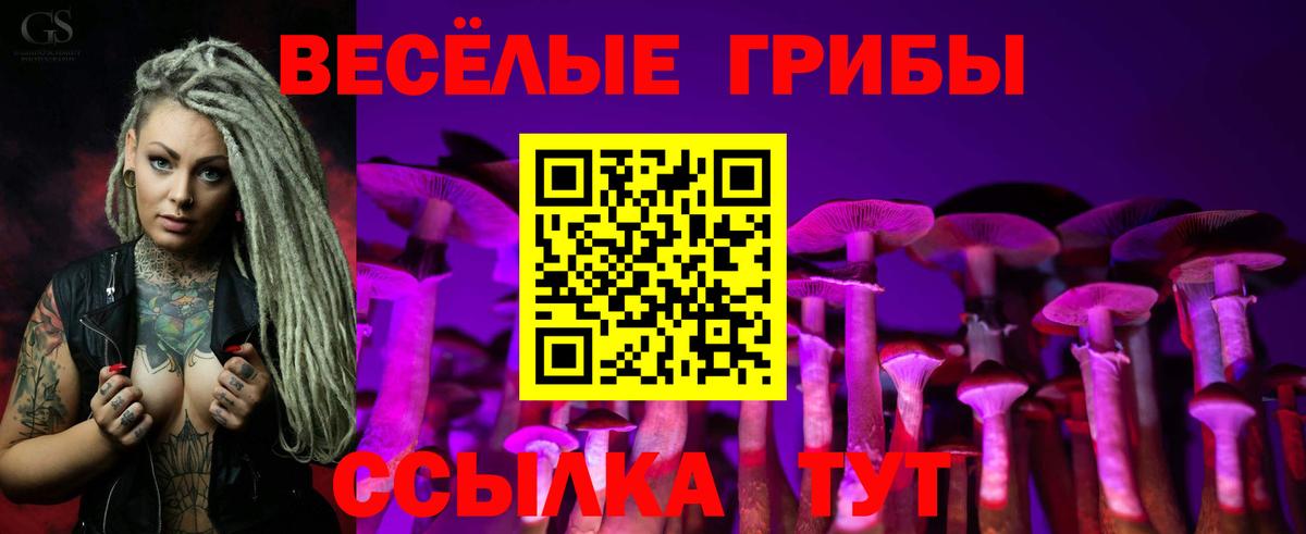 Аша  хочу   Вход с VPN  Псилоцибиновые грибы Psilocybe 